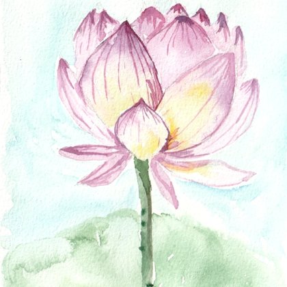 Lotus flower